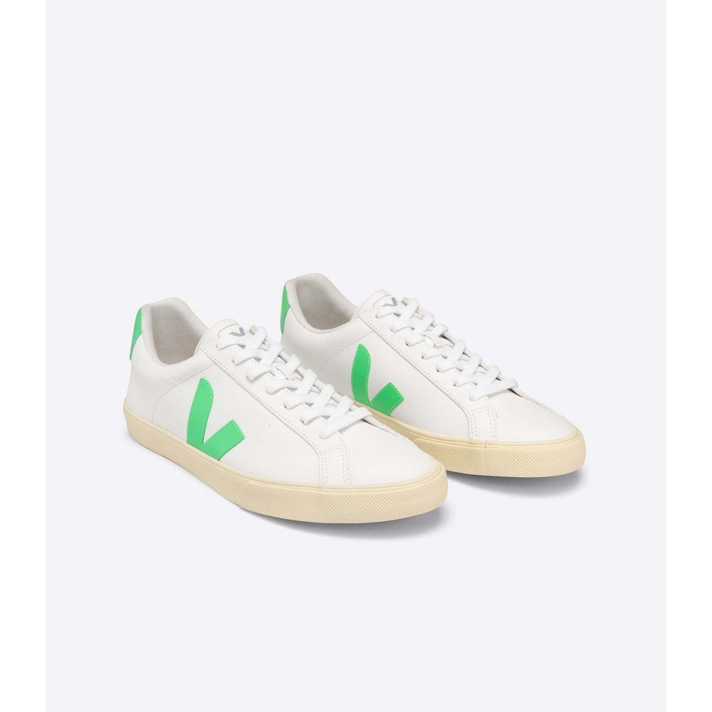 Veja ESPLAR CHROMEFREE BUTTER-SOLE Tenisky Panske Biele | SK 301BEX